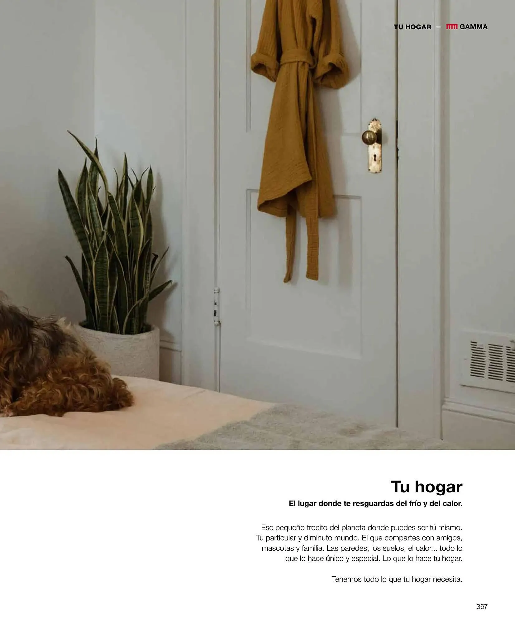 Catálogo de Folleto Grup Gamma 1 de febrero al 31 de diciembre 2023 - Página 366