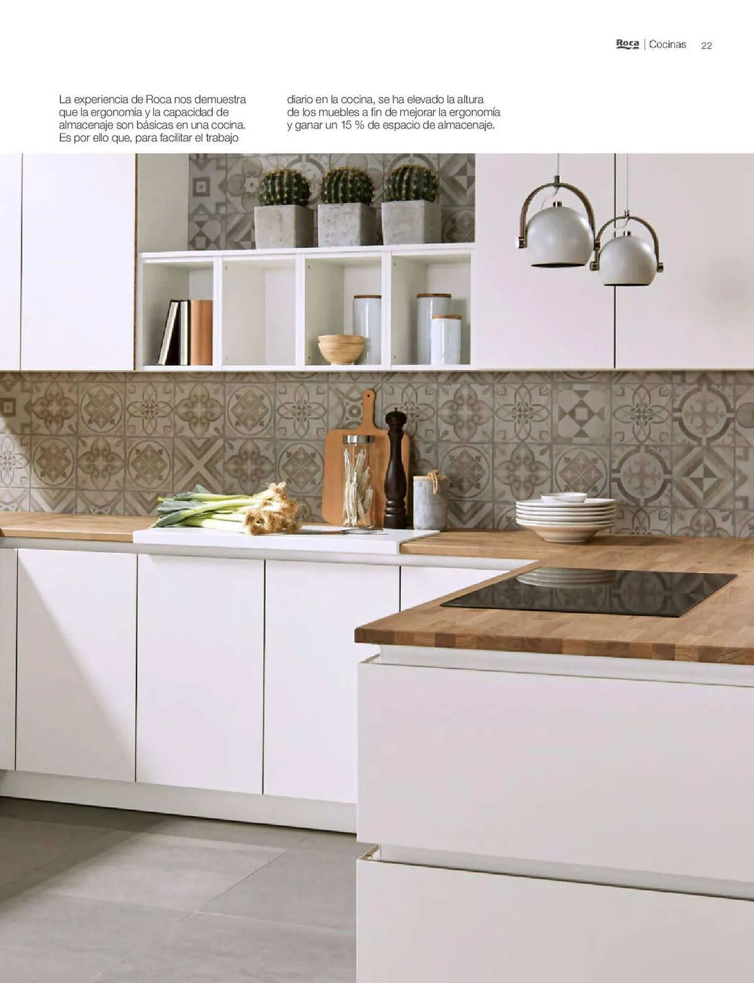 Catálogo de Folleto Roca 5 de enero al 1 de enero 2024 - Página 22