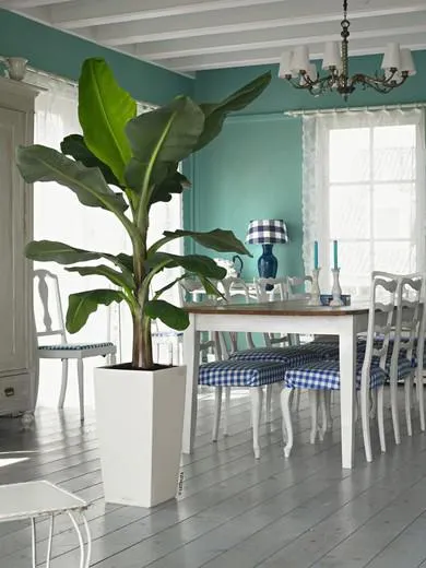 Maceta autorriego Lechuza cubico 29,5x29x5x56x5 cm