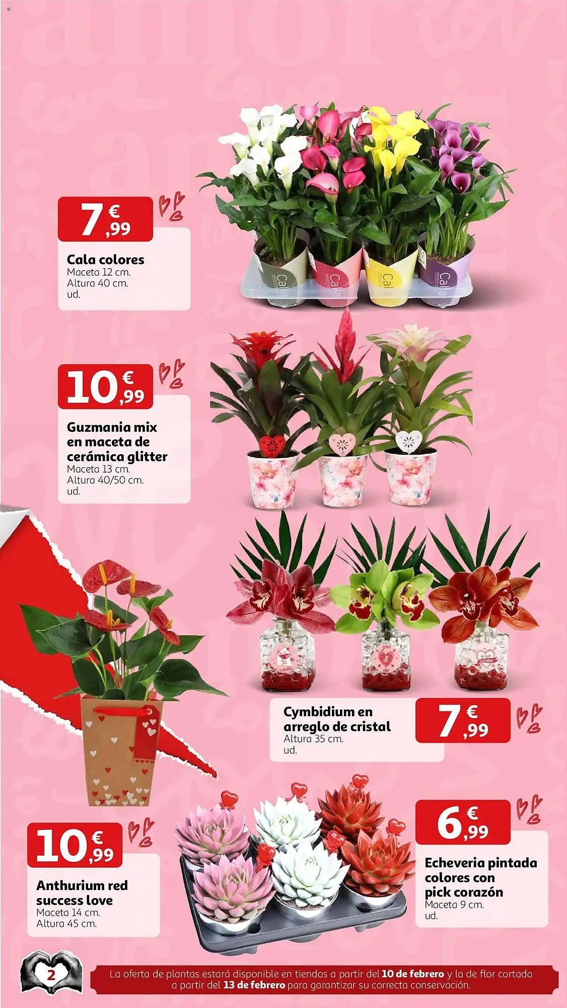 Catálogo de Folleto Alcampo 2 de febrero al 14 de febrero 2026 - Página 1