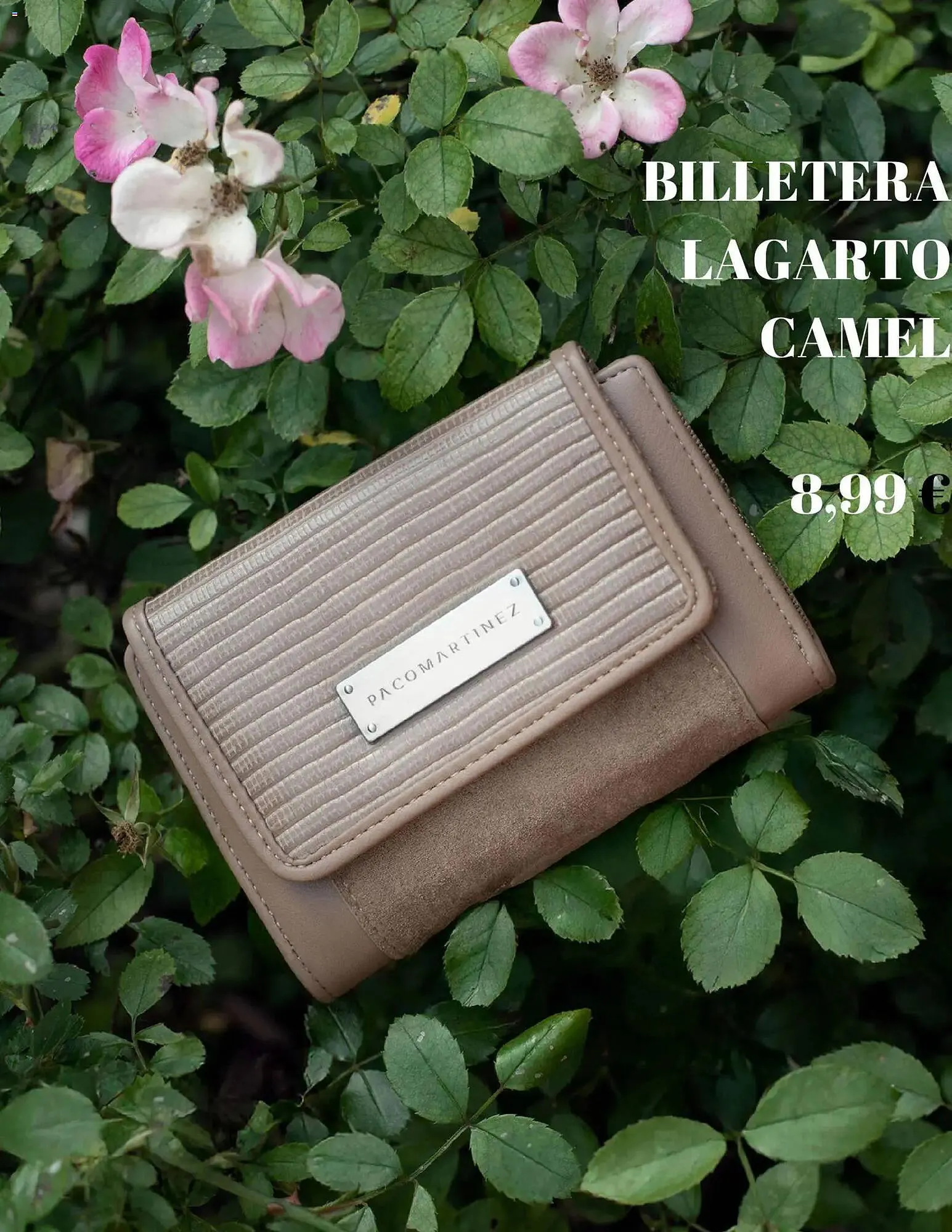 Catálogo de Catálogo Paco Martinez 26 de enero al 26 de febrero 2026 - Página 10