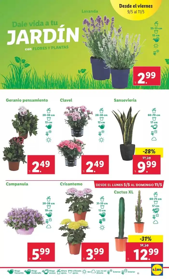 Catálogo de ¡Bazar Lidl! Ofertas válidas del 05/05 al 11/05 5 de mayo al 11 de mayo 2025 - Página 15