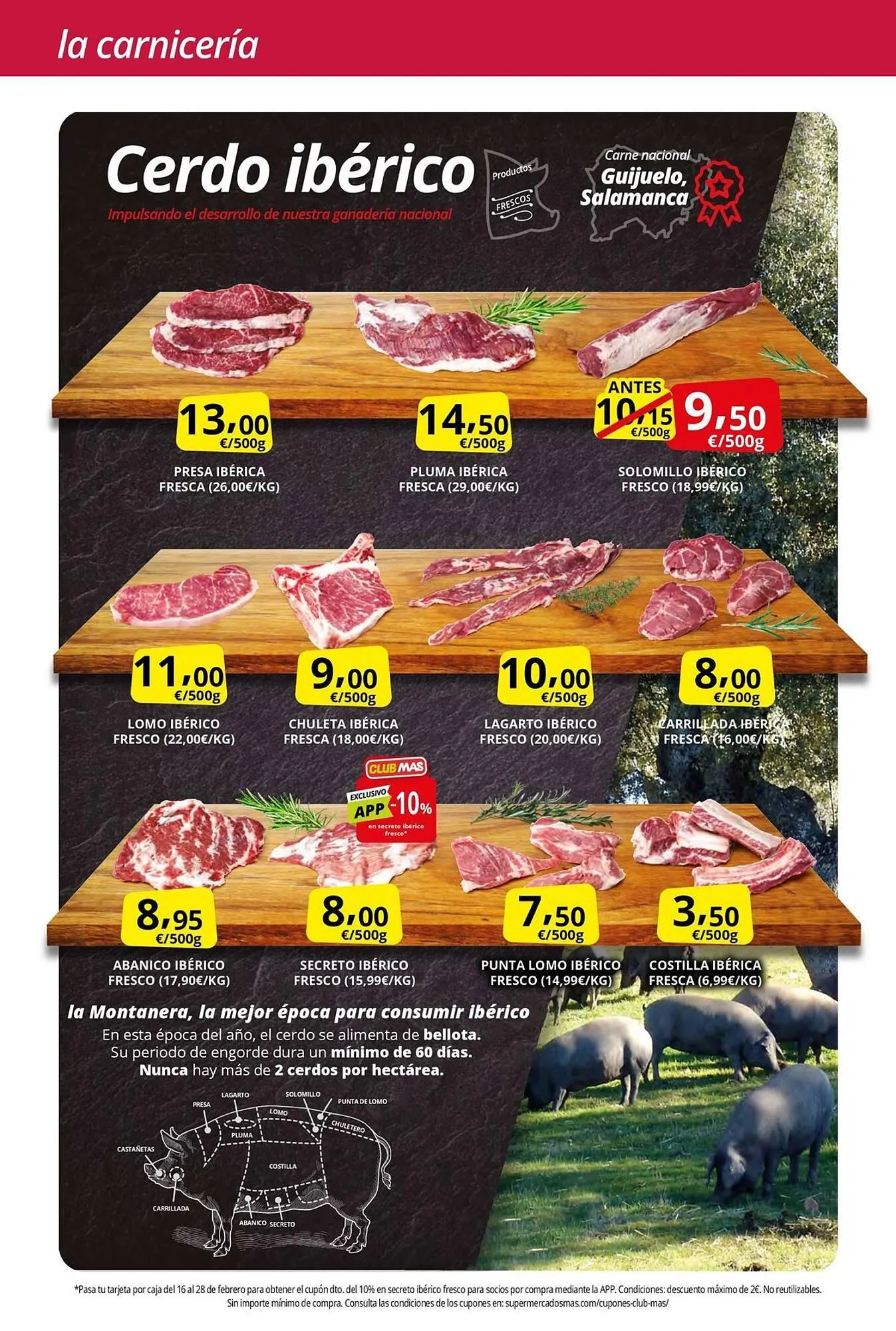 Catálogo de Folleto Supermercados MAS 2 de febrero al 26 de febrero 2026 - Página 2