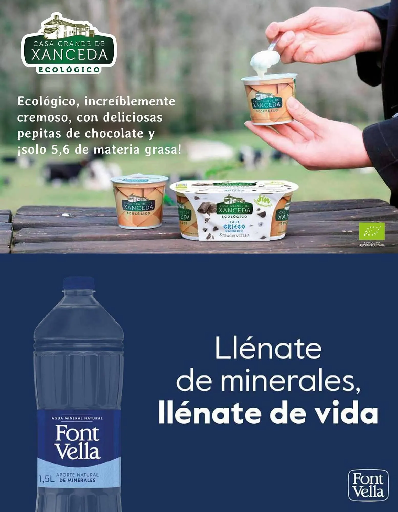 Catálogo de Catálogo Veritas 2 de marzo al 31 de marzo 2026 - Página 41