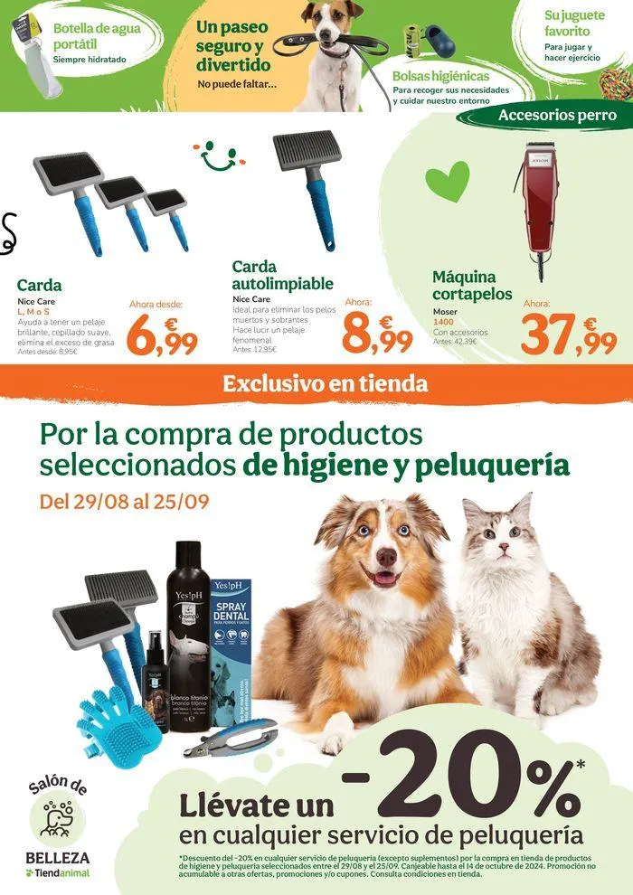 Catálogo de ¡Volvemos con todo! DESCUENTAZOS para la vuelta a casa 29 de agosto al 25 de septiembre 2024 - Página 11