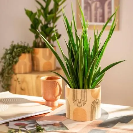 MACETERO CILINDRO RALLADO ARCADE