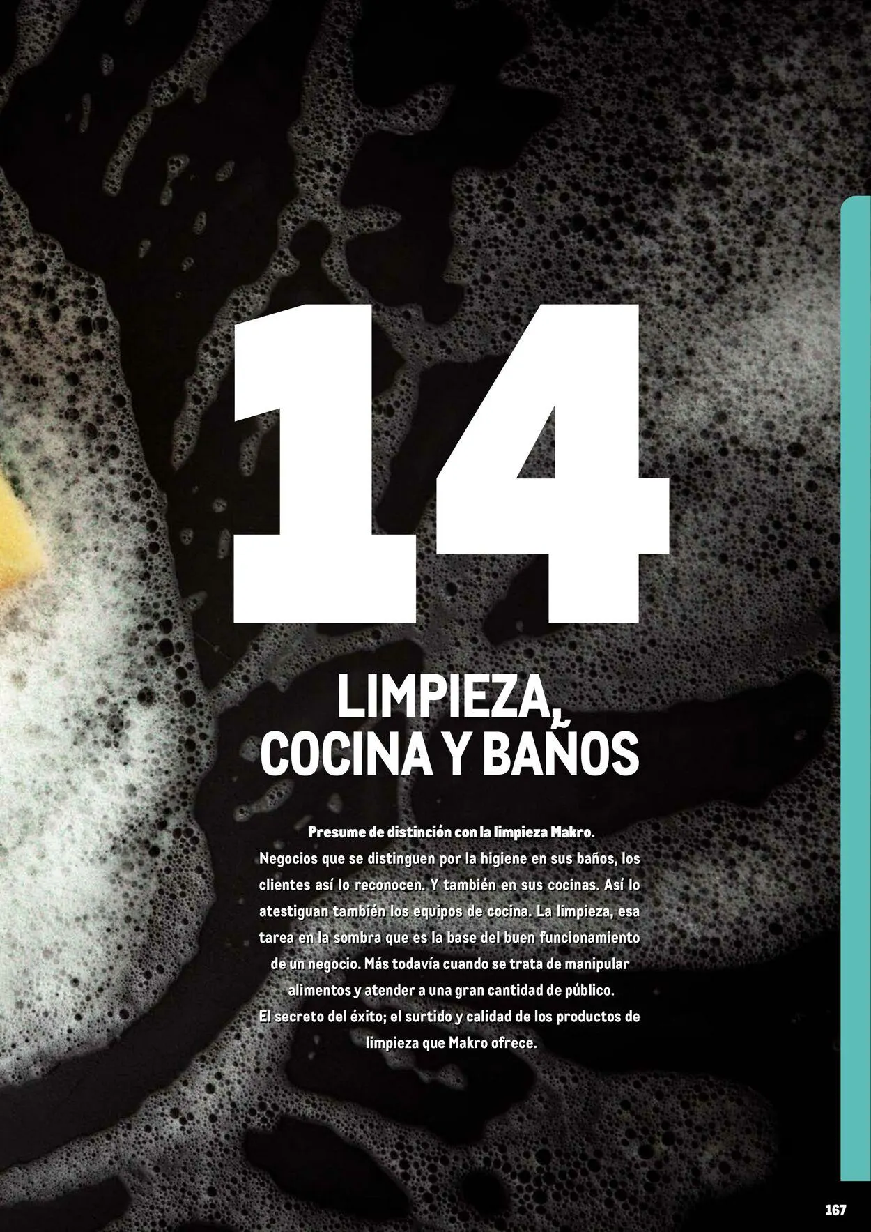 Catálogo de Makro Oferta actual 7 de julio al 31 de diciembre 2023 - Página 167