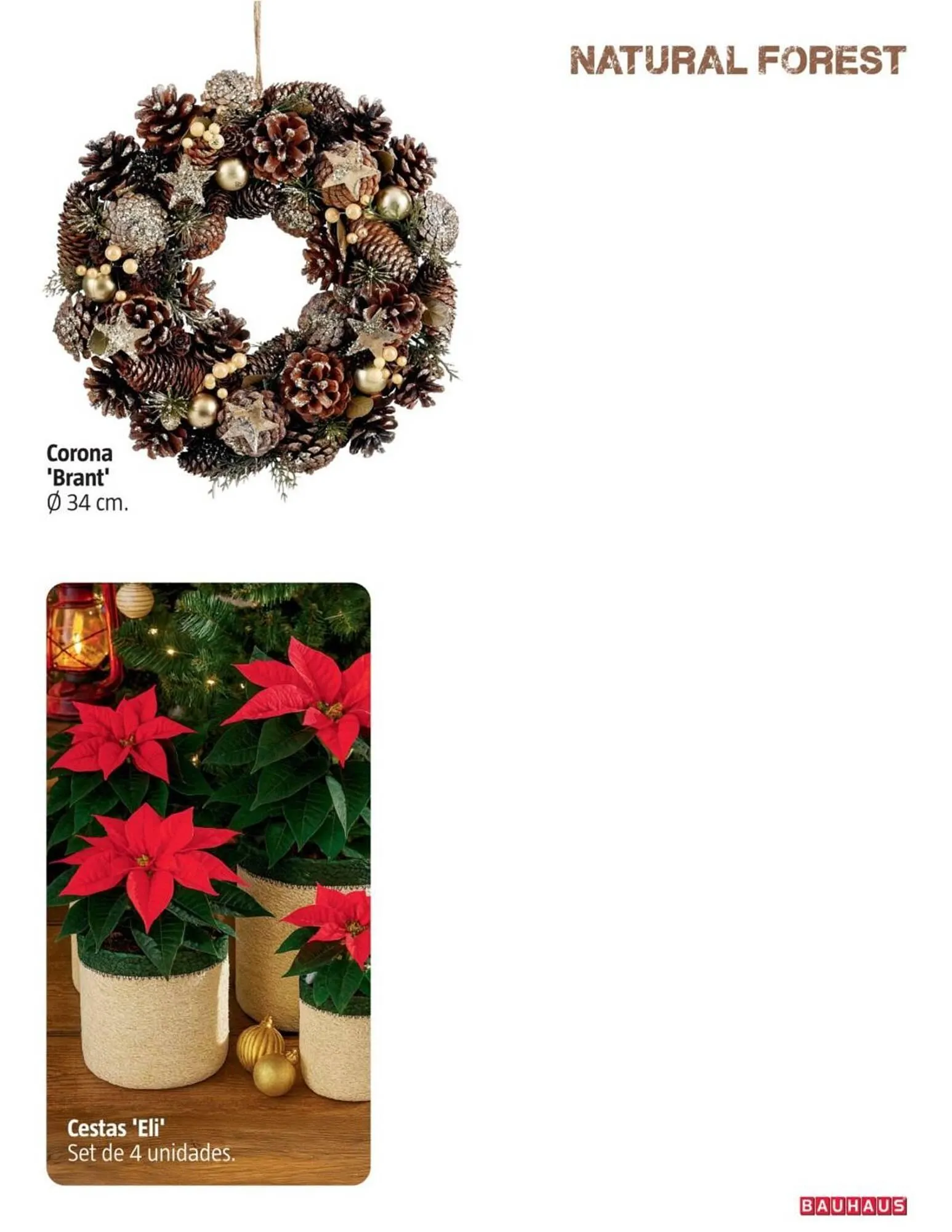 Catálogo de Catálogo Bauhaus 6 de noviembre al 31 de diciembre 2025 - Página 21