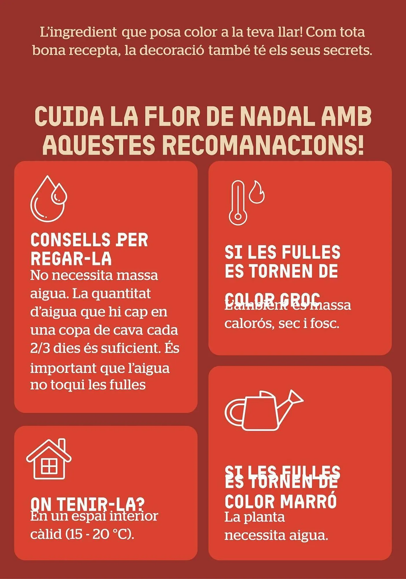 Catálogo de Folleto BonpreuEsclat 3 de diciembre al 31 de diciembre 2025 - Página 61