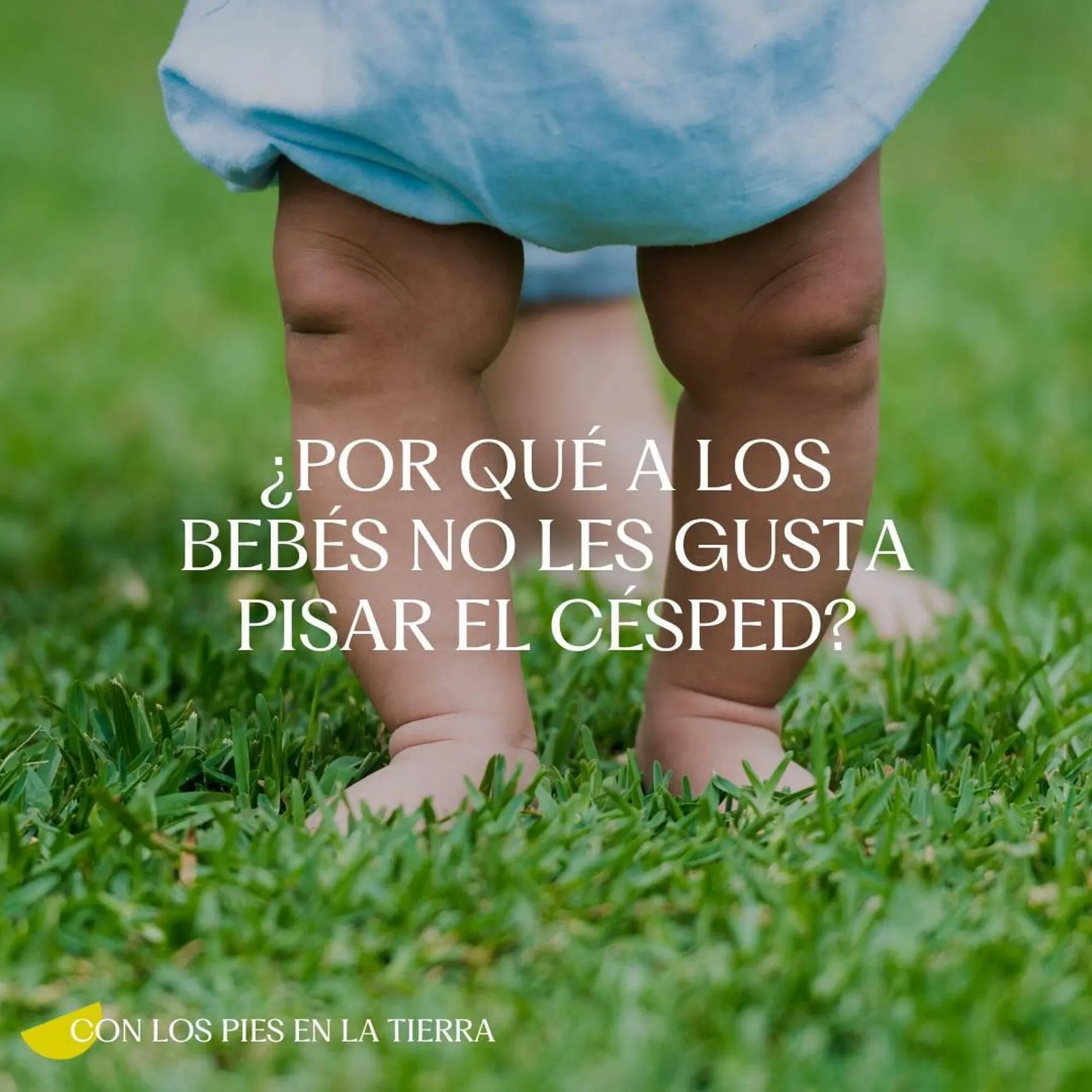 Folleto Pablosky - 1