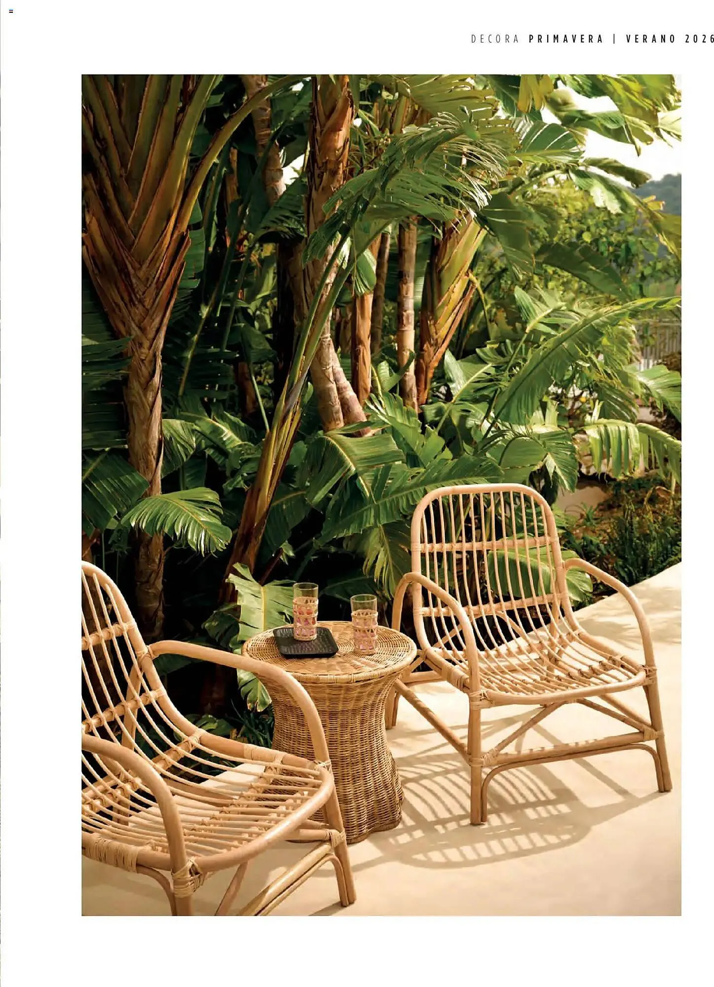 Catálogo de Catálogo El Corte Inglés 1 de abril al 1 de julio 2026 - Página 81