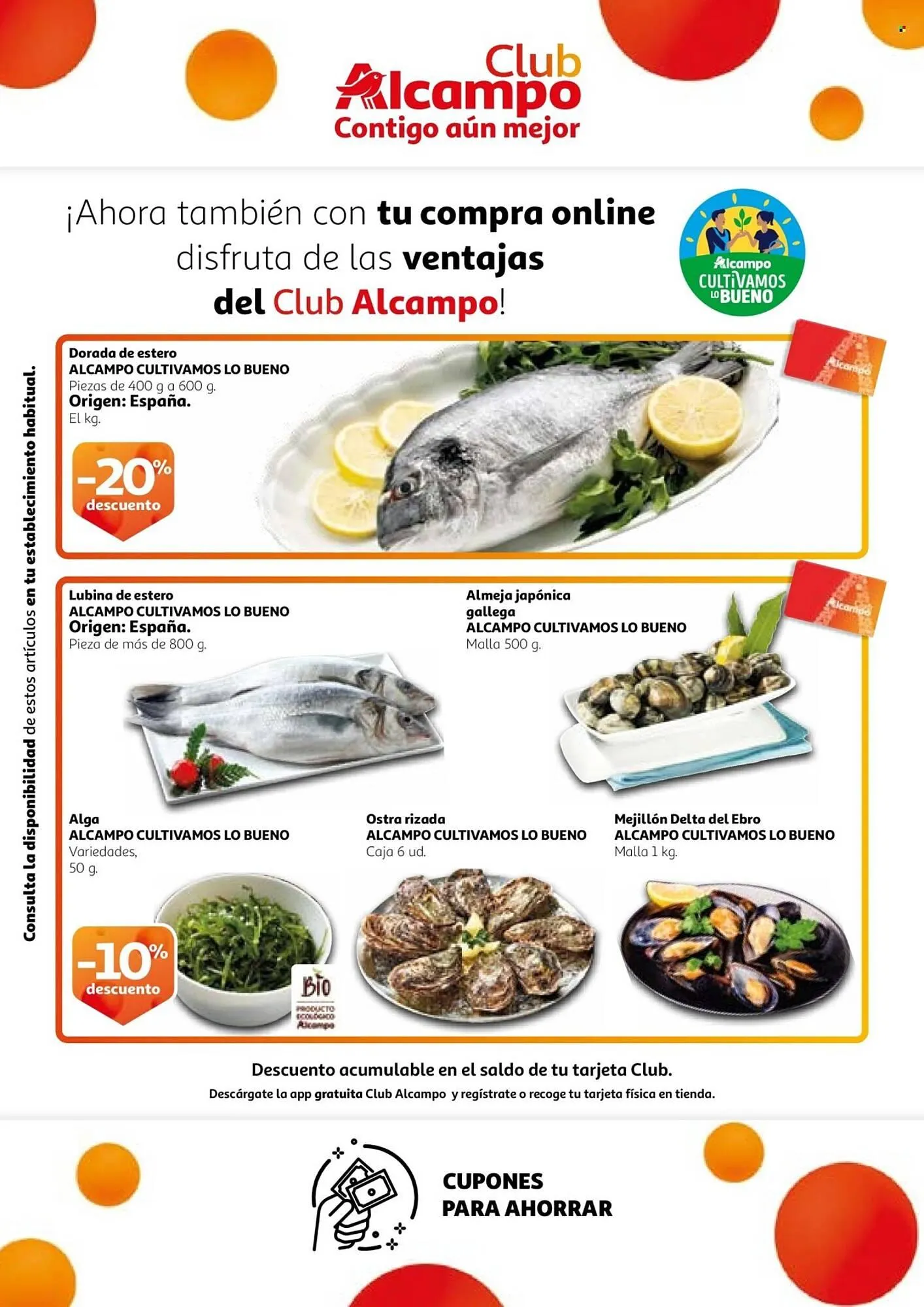 Catálogo de Folleto Alcampo 22 de abril al 5 de mayo 2025 - Página 3