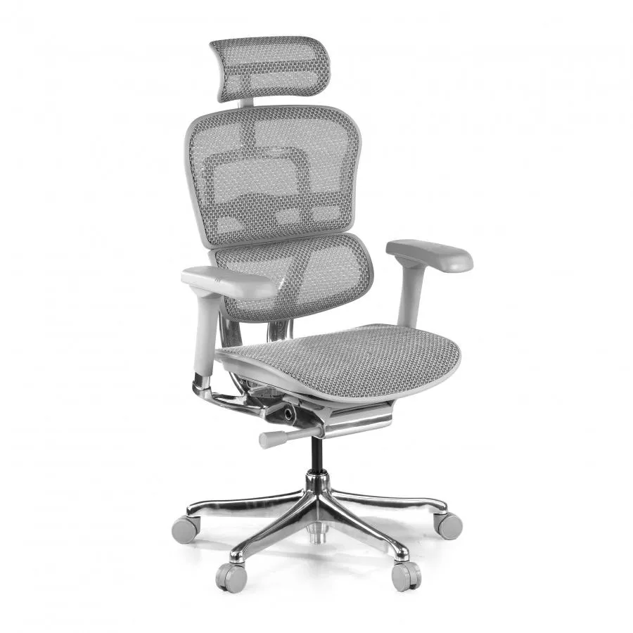 Silla ergonómica ejecutiva Ergohuman Elite, estructura blanca - Blanco/Gris