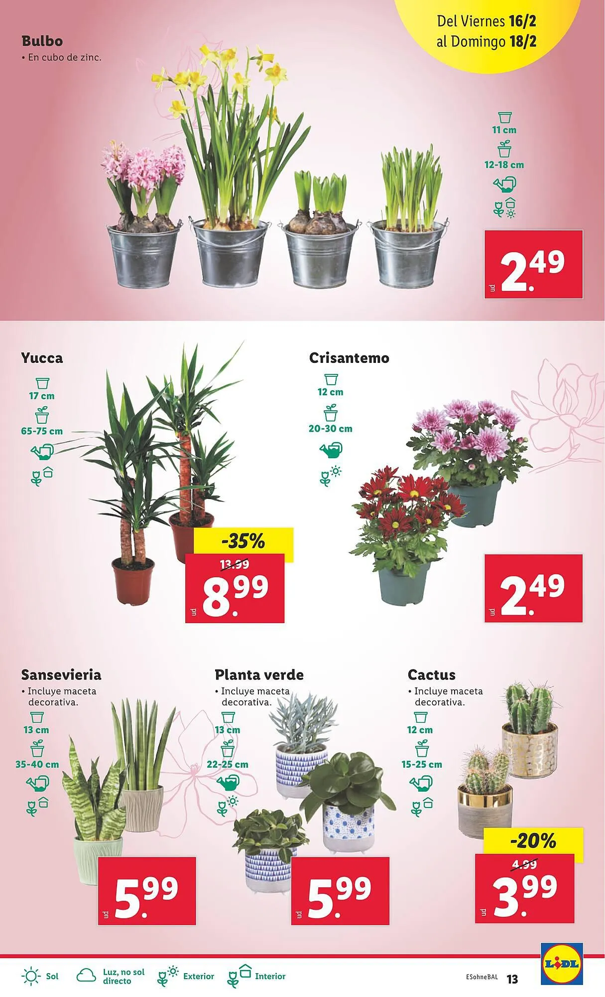 Catálogo de Folleto Lidl 12 de febrero al 18 de febrero 2024 - Página 31