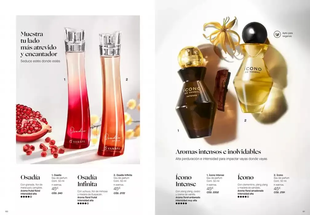 Catálogo de Catálogo Anual 3 de febrero al 31 de diciembre 2025 - Página 61