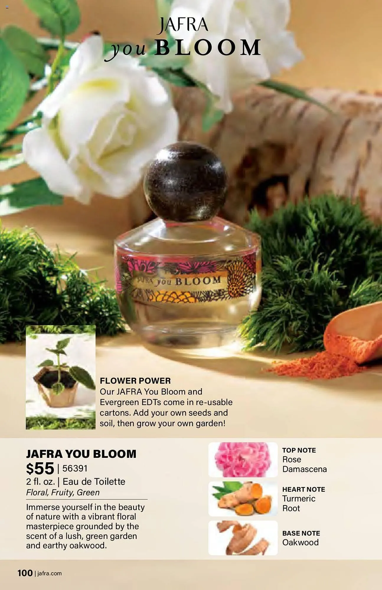 Catálogo de Folleto JAFRA 1 de agosto al 31 de diciembre 2024 - Página 100