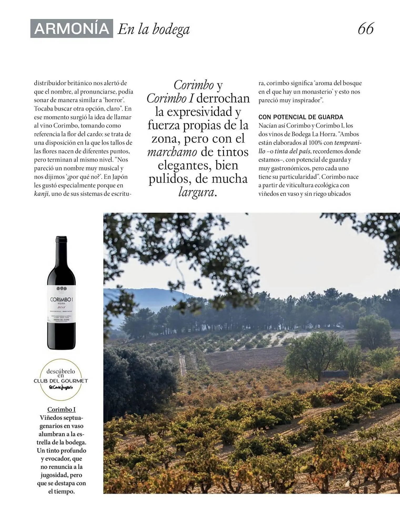 Catálogo de Catálogo El Corte Inglés 26 de septiembre al 30 de noviembre 2025 - Página 66