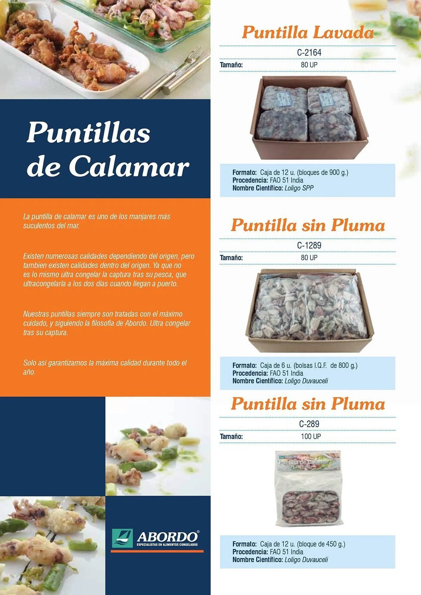 Catálogo de Folleto Abordo 5 de marzo al 30 de junio 2026 - Página 26