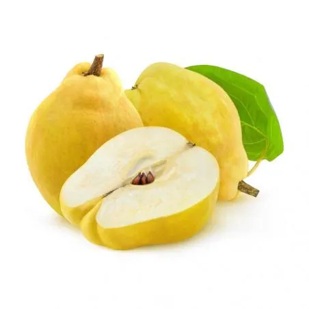 MEMBRILLERO 10L RESIDUO CERO VERDECORA