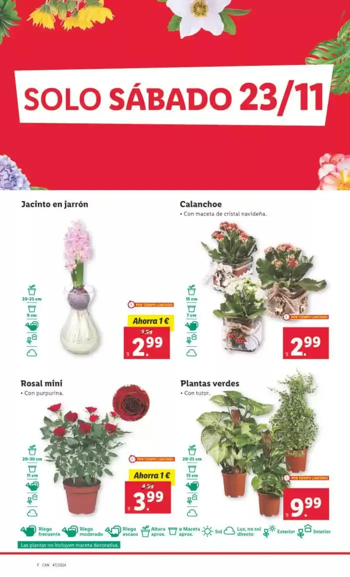 Catálogo de № 1 PRECIO 18 de noviembre al 24 de noviembre 2024 - Página 26