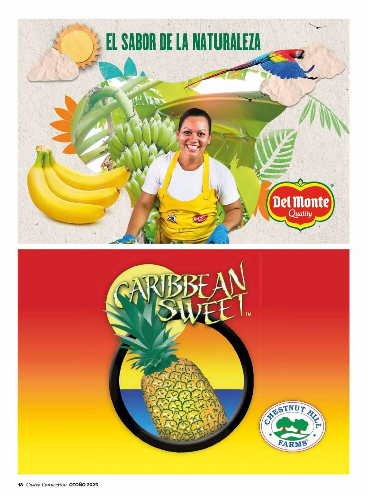 Catálogo de Catálogo Costco 25 de septiembre al 30 de noviembre 2025 - Página 18