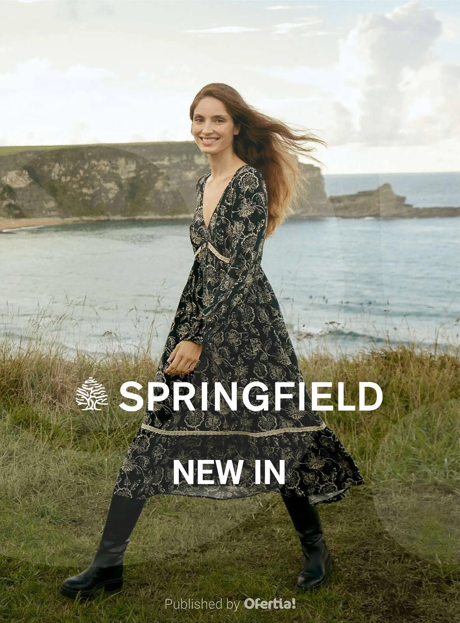 Catálogo de Folleto Springfield 8 de enero al 19 de abril 2024 - Página