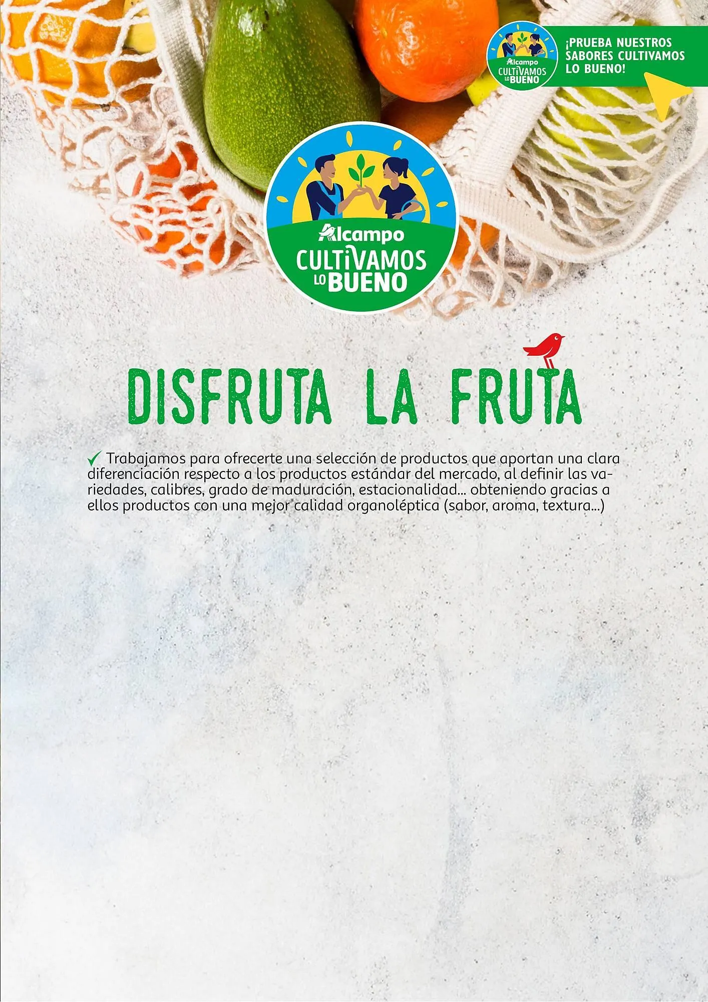 Catálogo de Folleto Alcampo 23 de abril al 31 de diciembre 2025 - Página 19