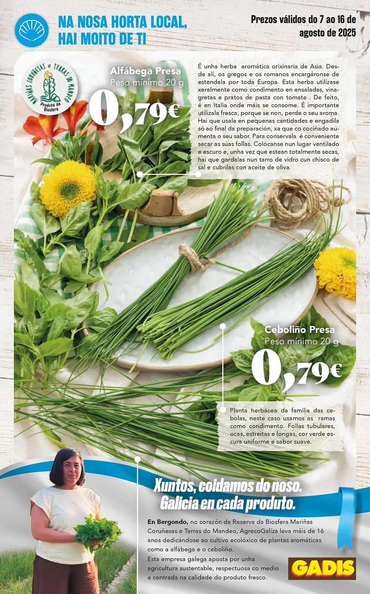 Catálogo de Folleto Gadis 7 de agosto al 16 de agosto 2025 - Página 9