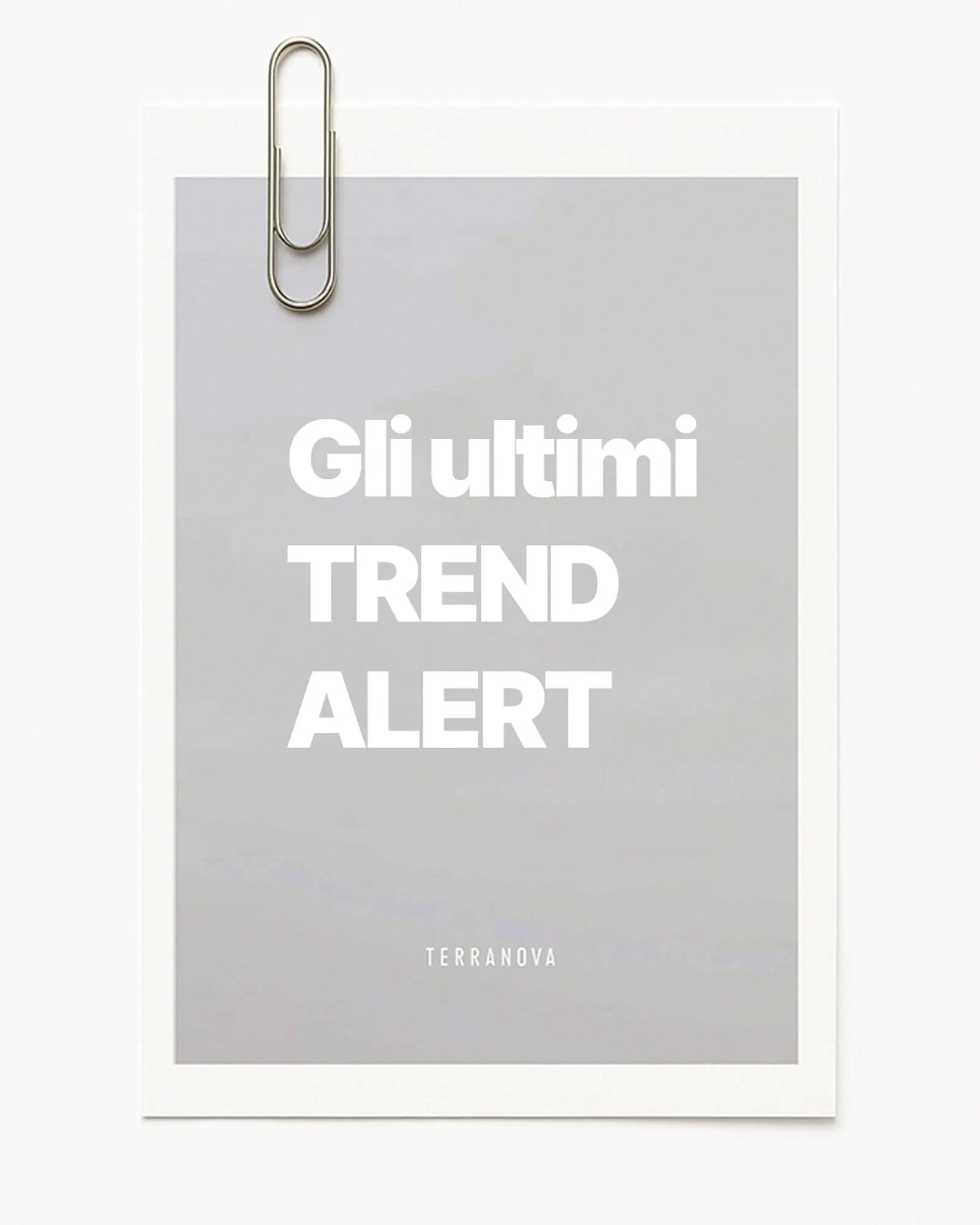 Catálogo de Folleto Terranova 24 de noviembre al 10 de enero 2026 - Página 1