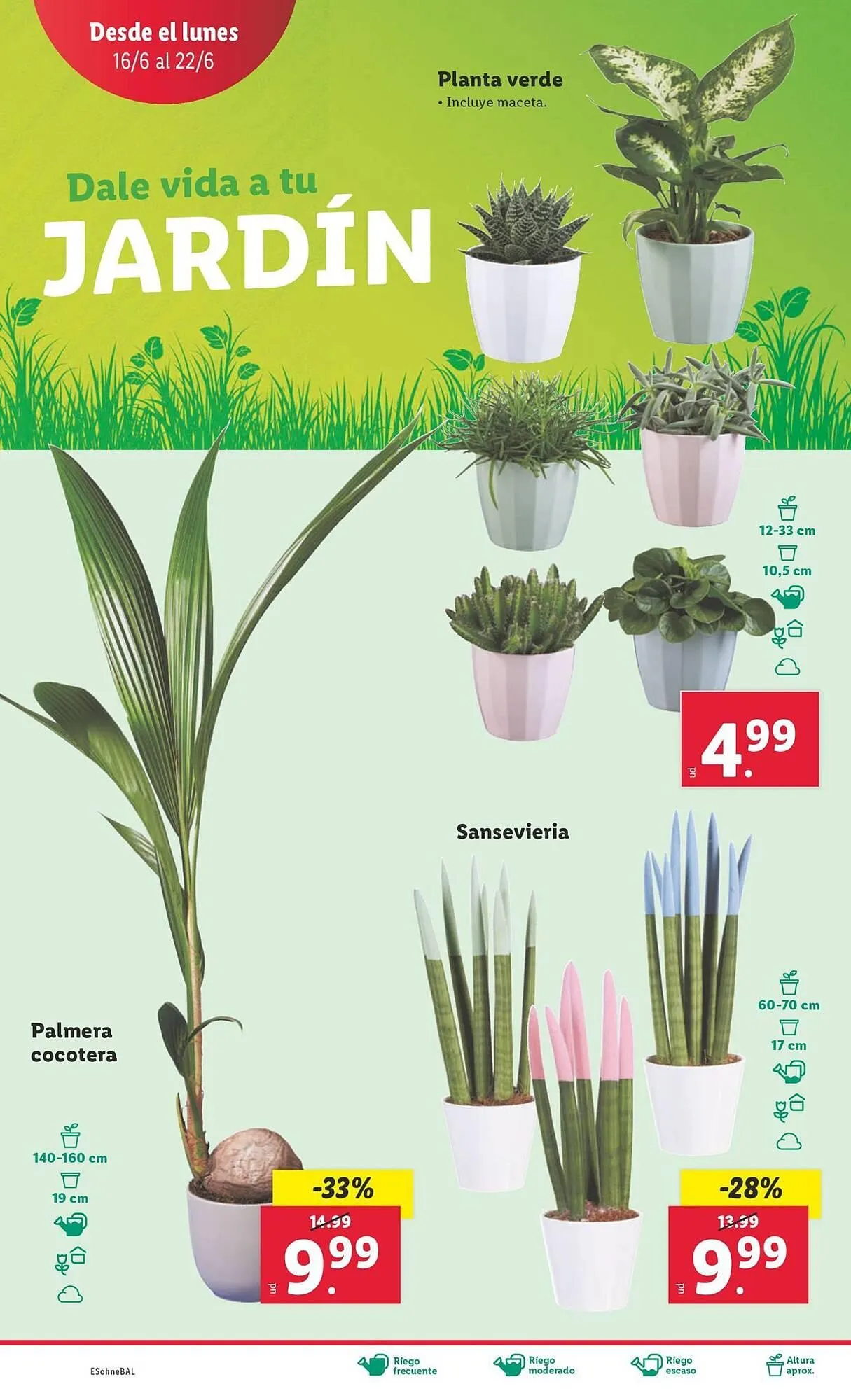 Catálogo de Folleto Lidl 16 de junio al 22 de junio 2025 - Página 58