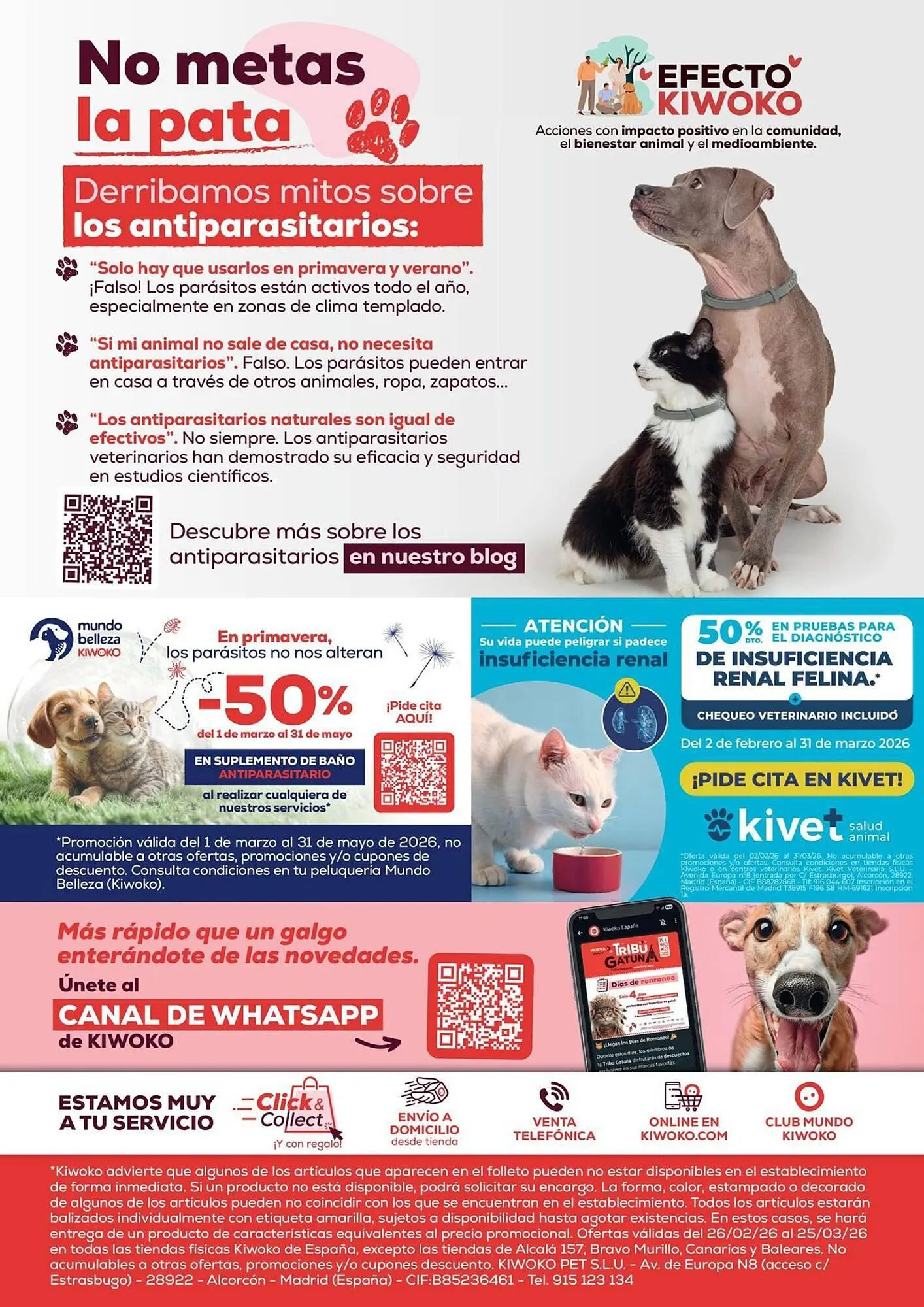 Catálogo de Folleto Kiwoko 26 de febrero al 25 de marzo 2026 - Página 16
