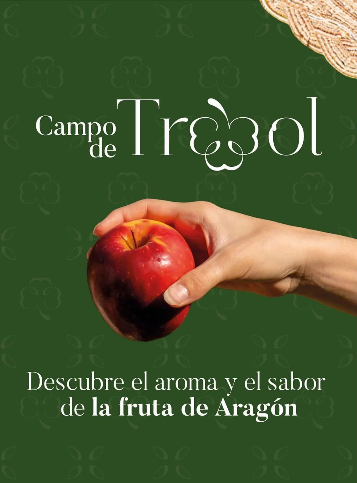 Catálogo de Catálogo Costco 25 de septiembre al 30 de noviembre 2025 - Página 79