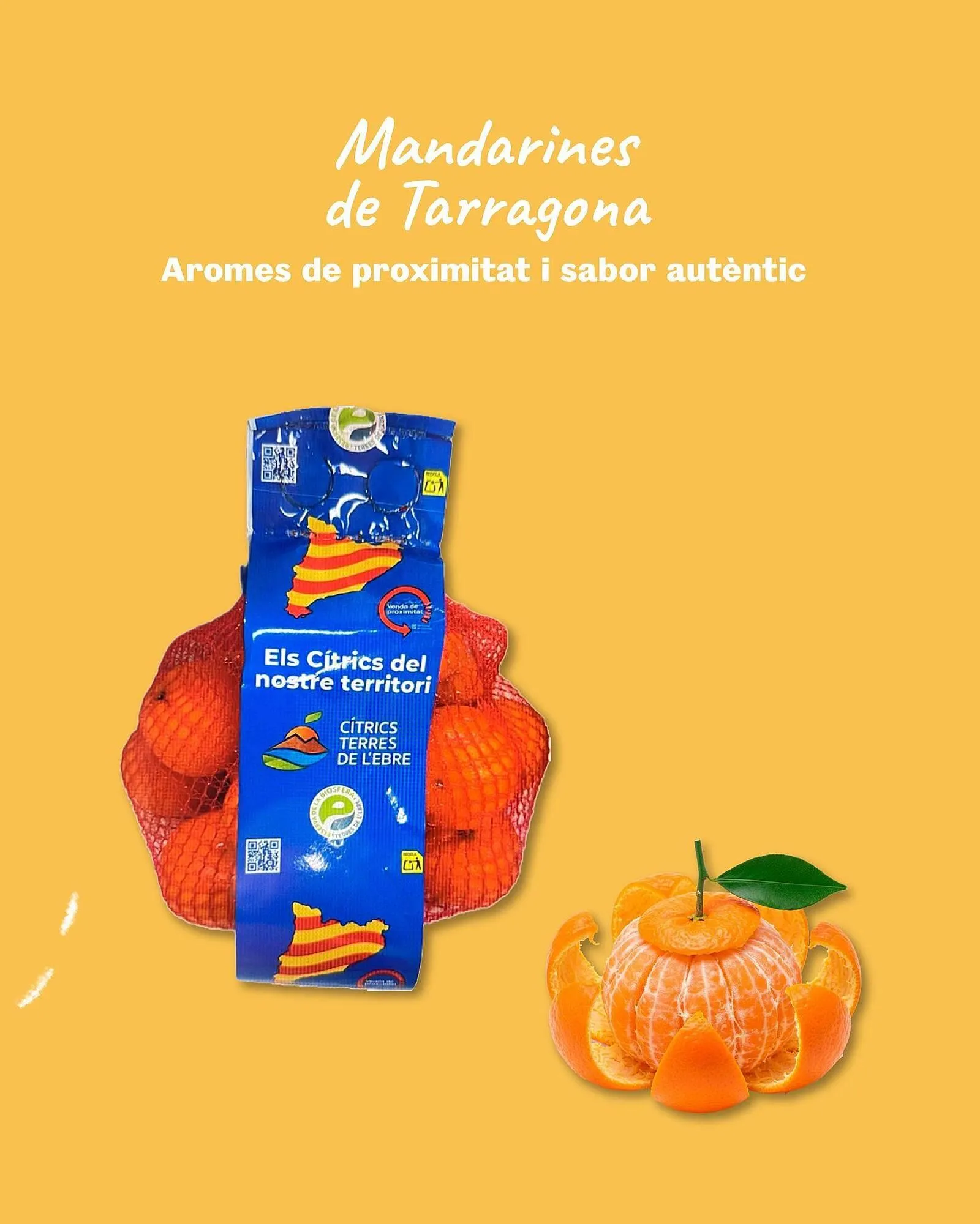 Catálogo de Catálogo Sorli 9 de noviembre al 15 de noviembre 2025 - Página 2