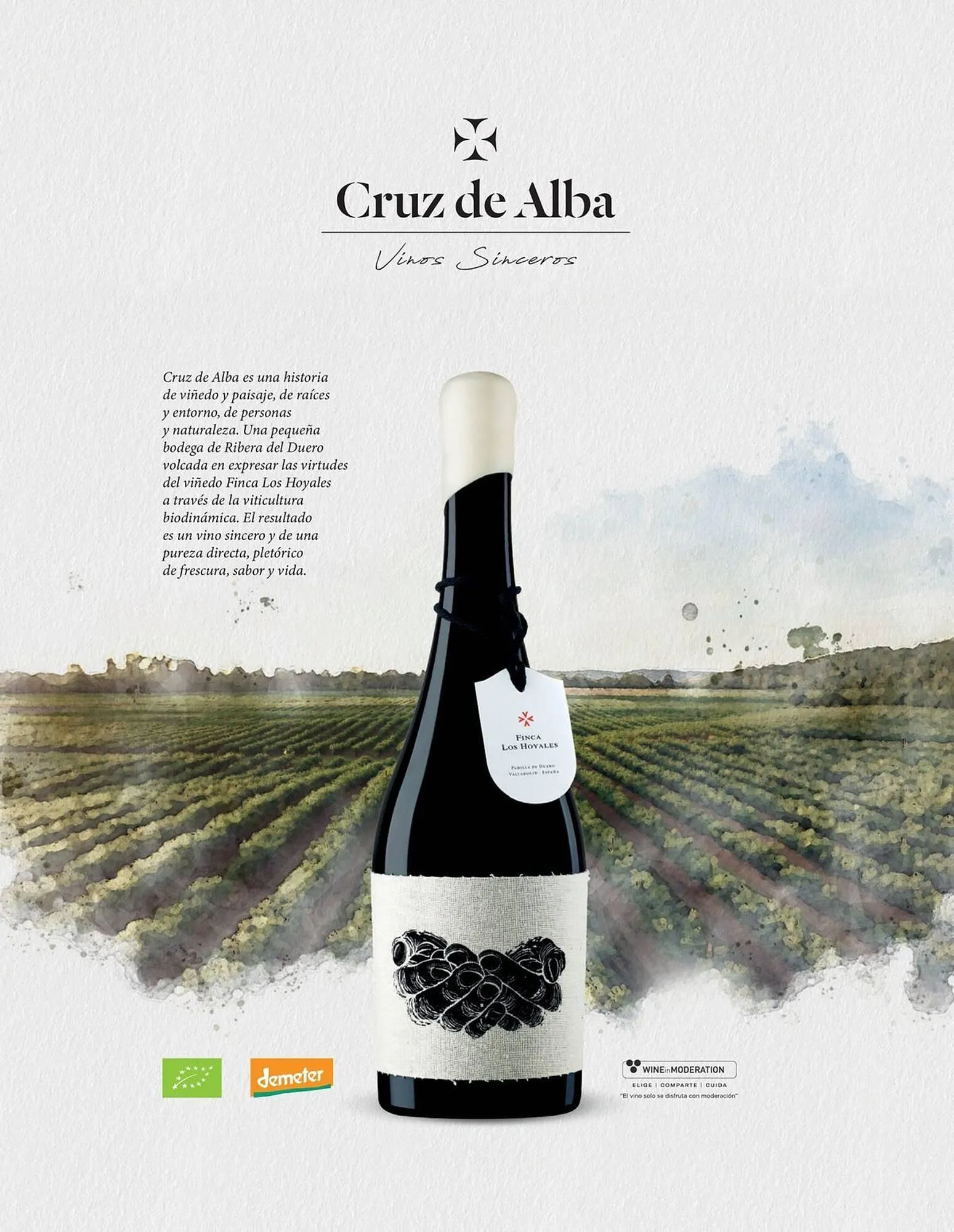 Catálogo de Catálogo El Corte Inglés 19 de noviembre al 31 de enero 2026 - Página 118