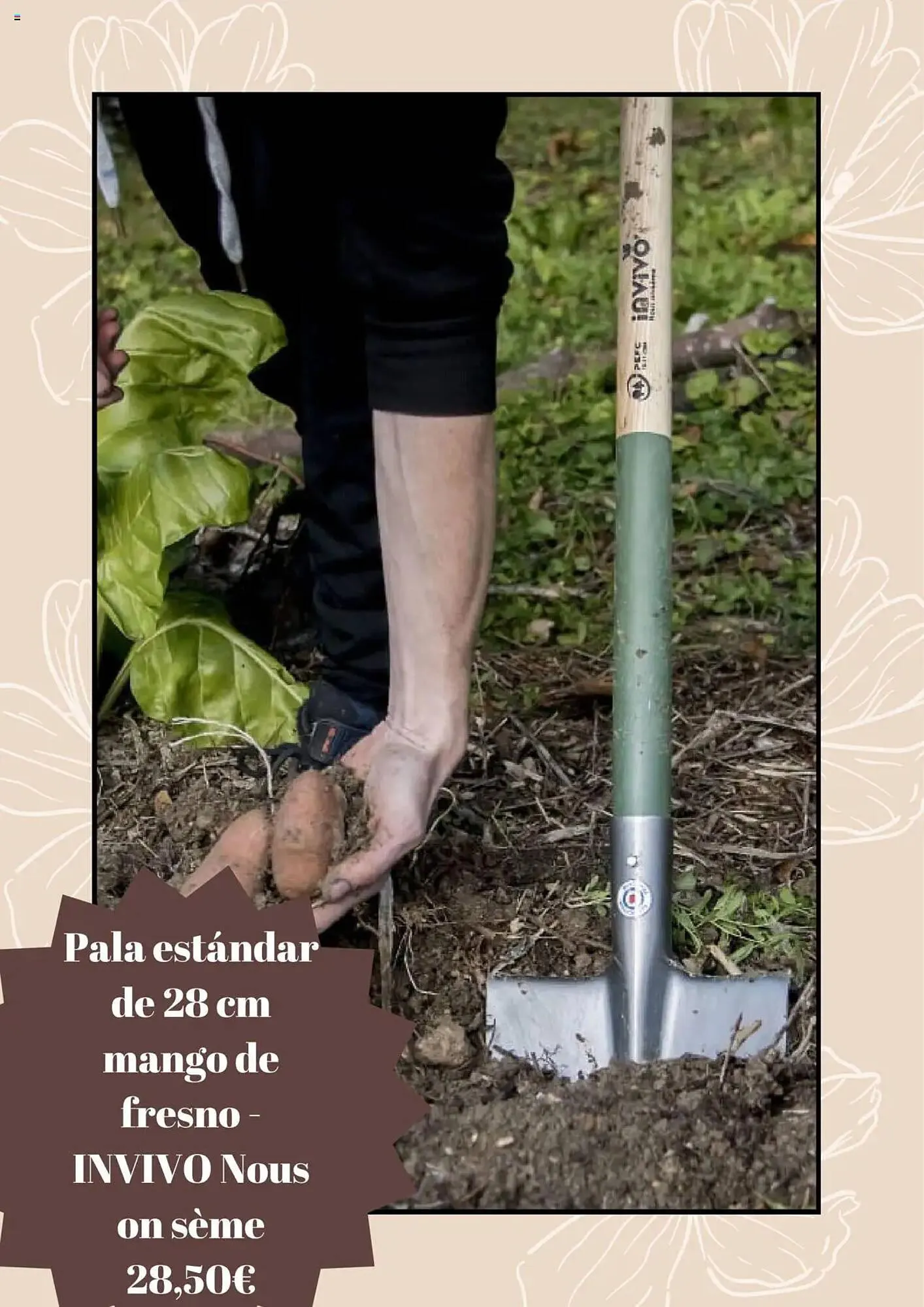 Catálogo de Folleto Jardiland 5 de febrero al 5 de marzo 2025 - Página 2