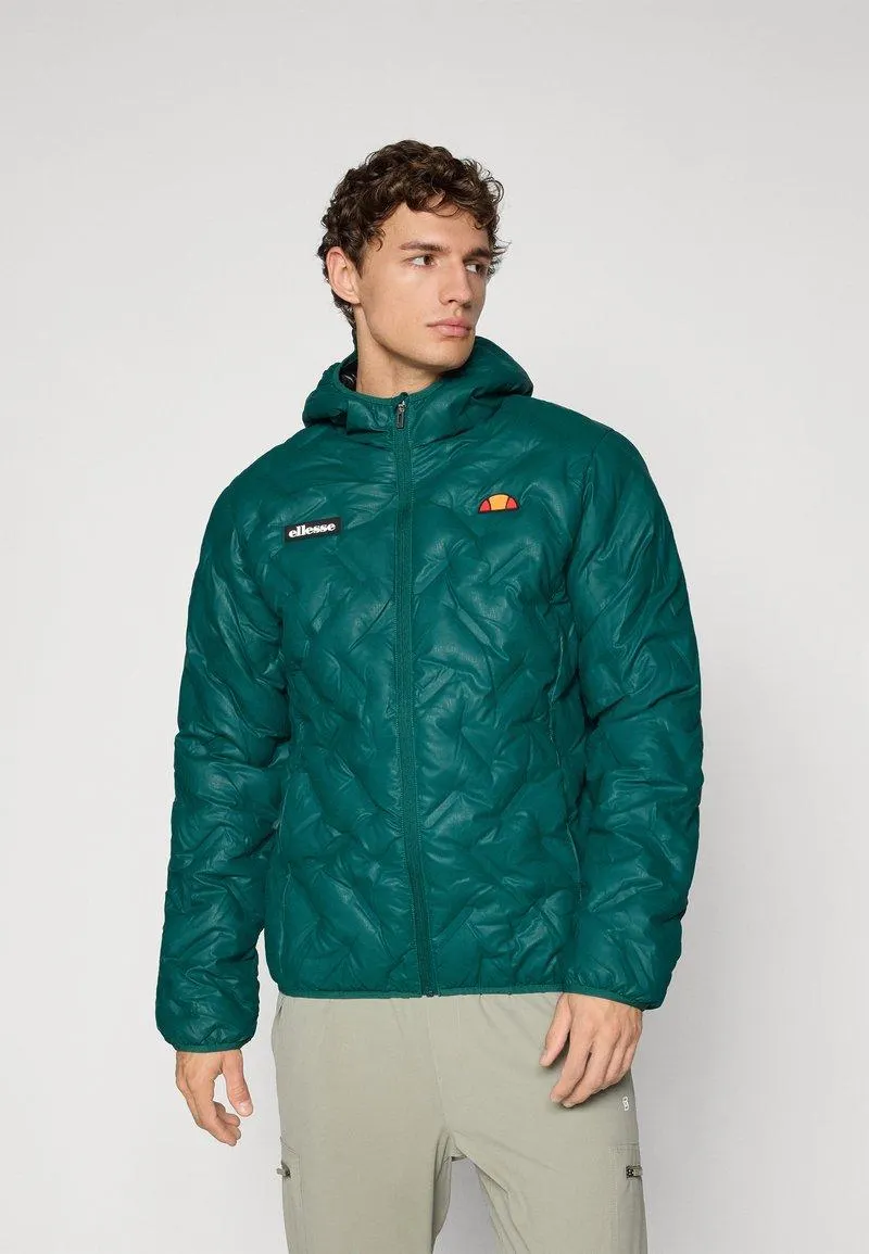 STANNETTI - Chaqueta de invierno - dark green