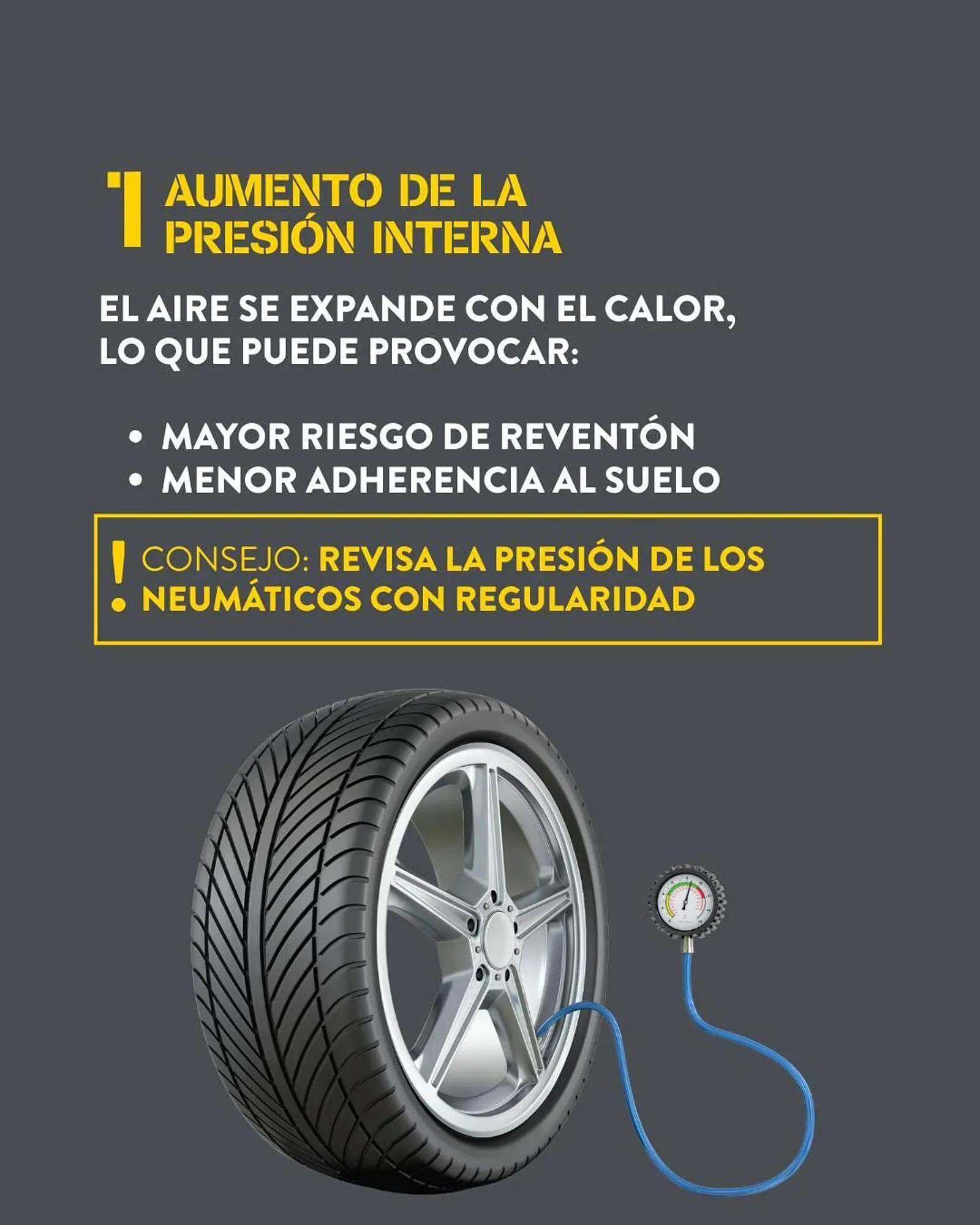 Catálogo de Folleto Rodi 12 de agosto al 25 de agosto 2025 - Página 2