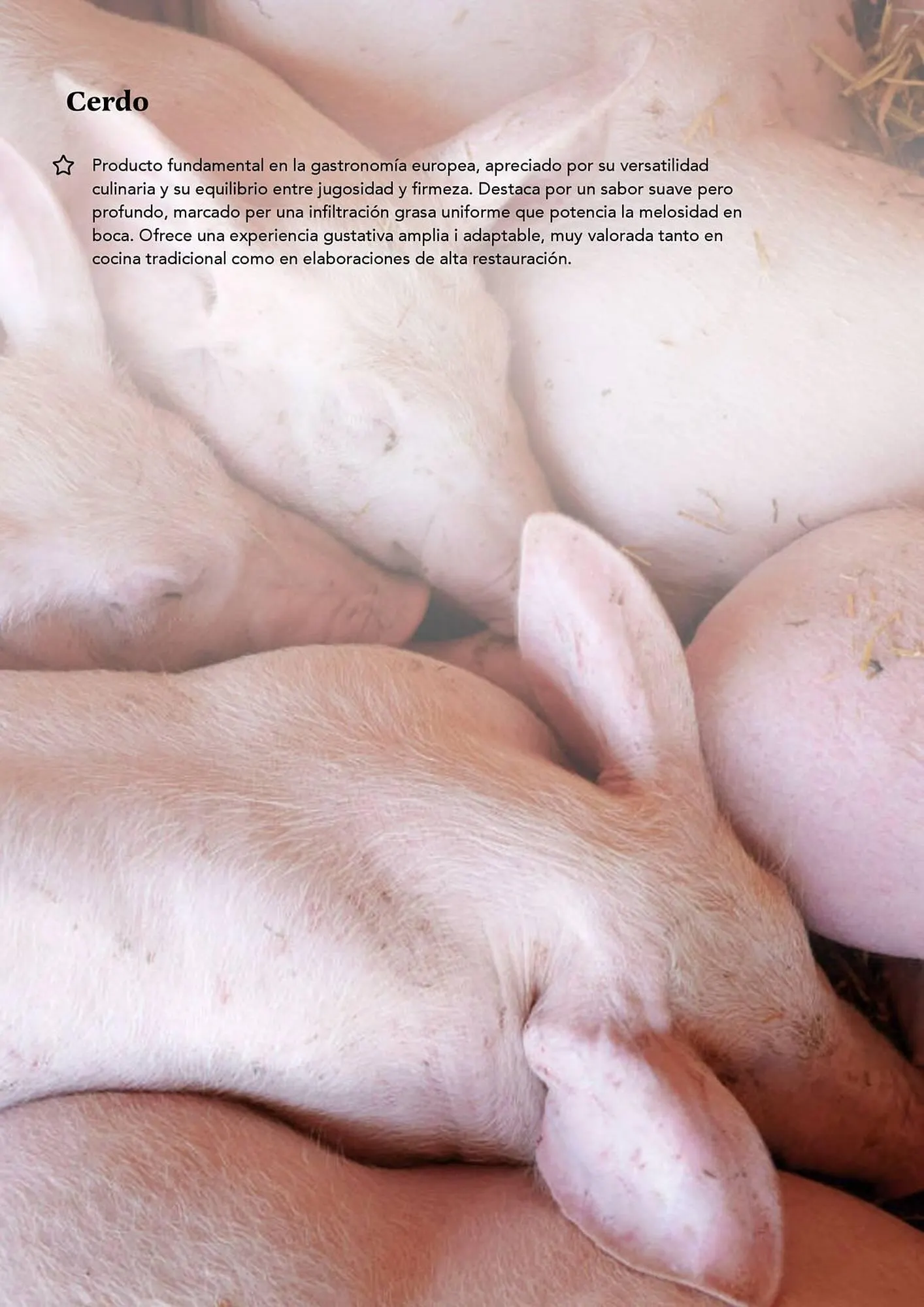 Catálogo de Folleto GM Cash & Carry 17 de febrero al 30 de abril 2026 - Página 18