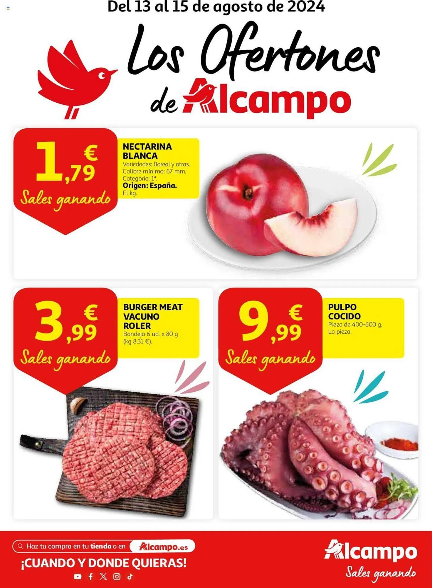 Catálogo de Folleto Alcampo 13 de agosto al 15 de agosto 2024 - Página 1