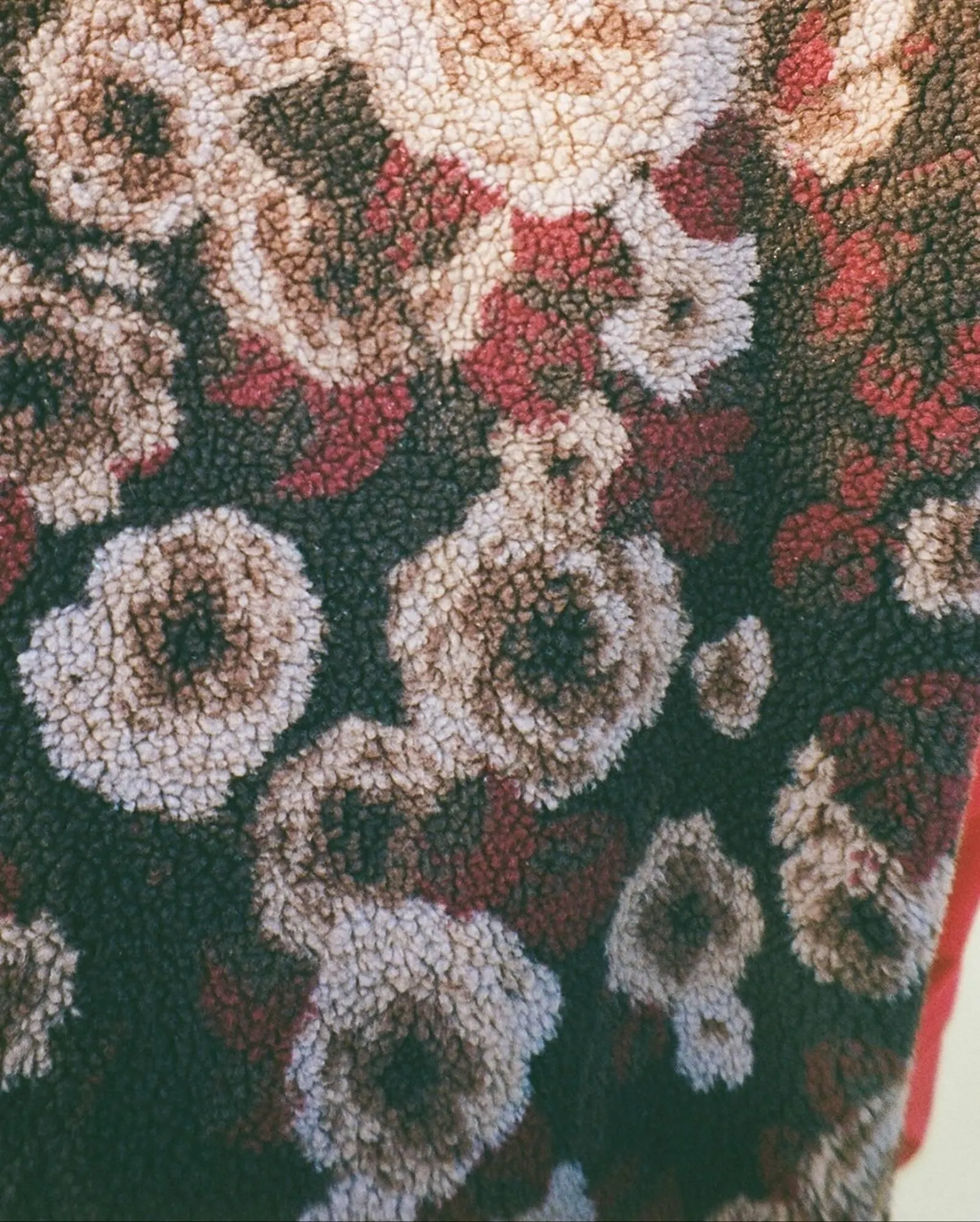 Catálogo de Folleto Napapijri 29 de octubre al 4 de noviembre 2025 - Página 2