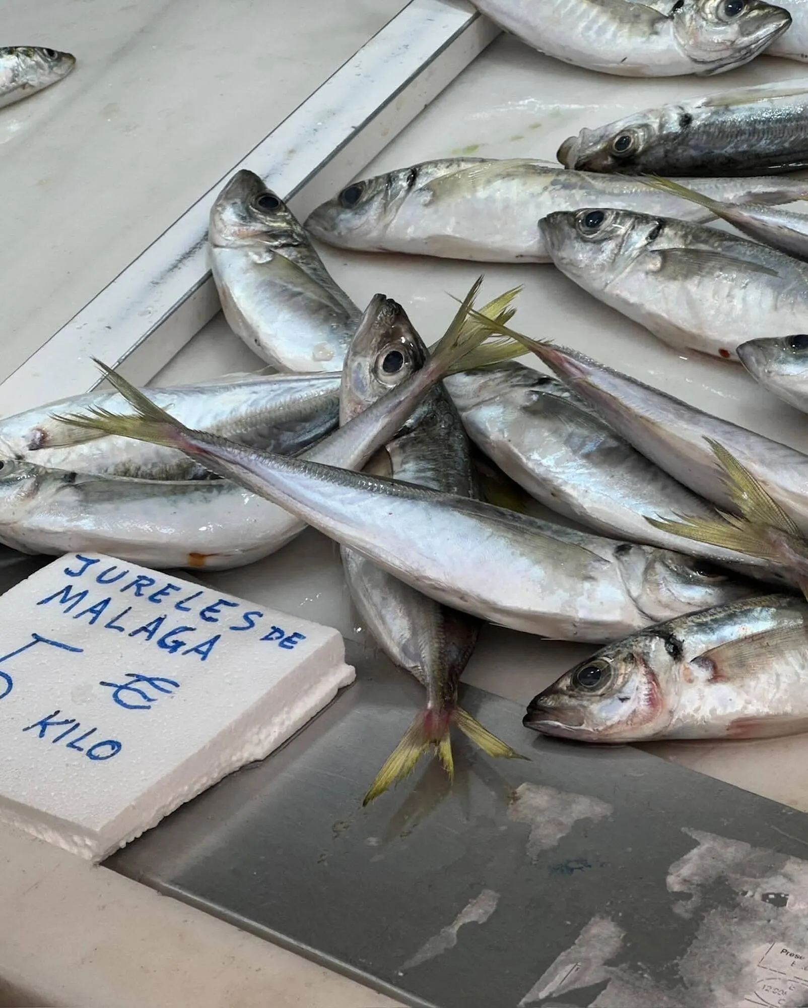 Catálogo de Folleto ese O ese 4 de junio al 9 de agosto 2025 - Página 3