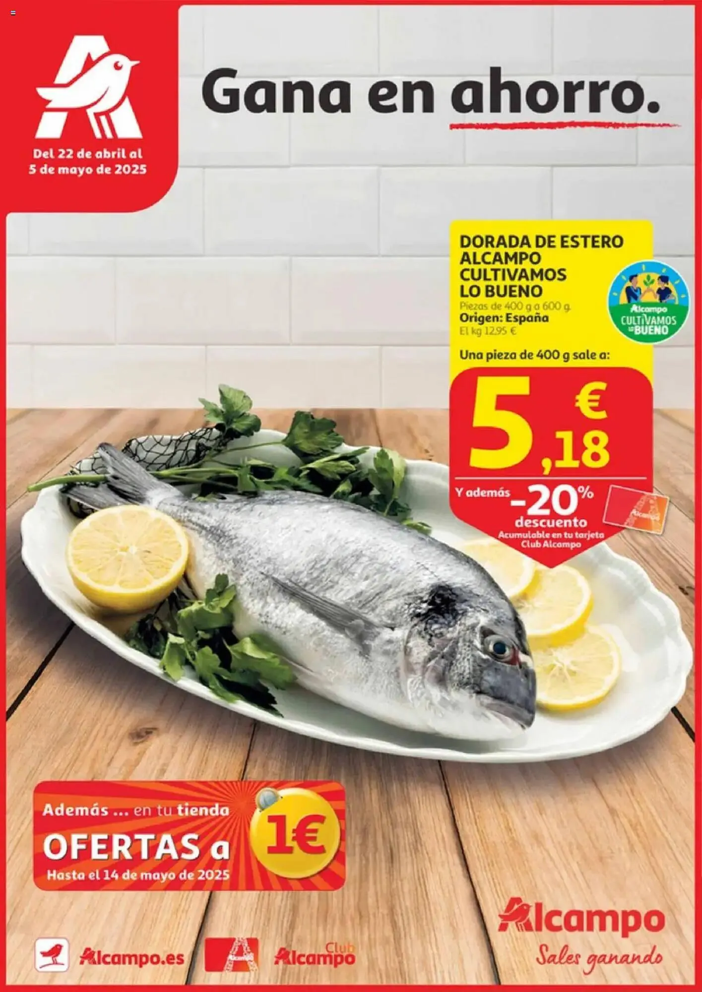 Catálogo de Folleto Alcampo 22 de abril al 5 de mayo 2025 - Página 1