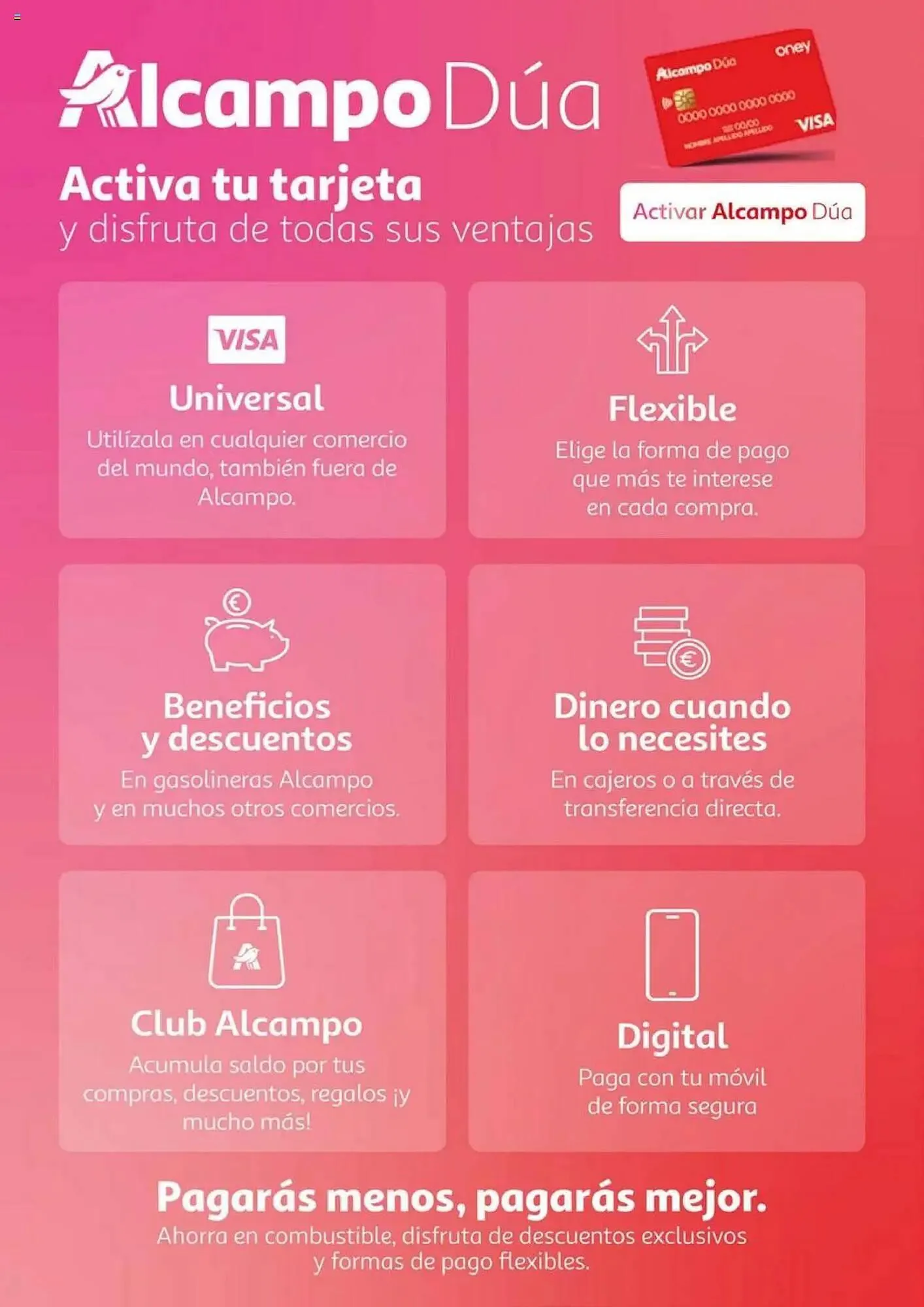 Catálogo de Folleto Alcampo 17 de junio al 30 de junio 2025 - Página 4