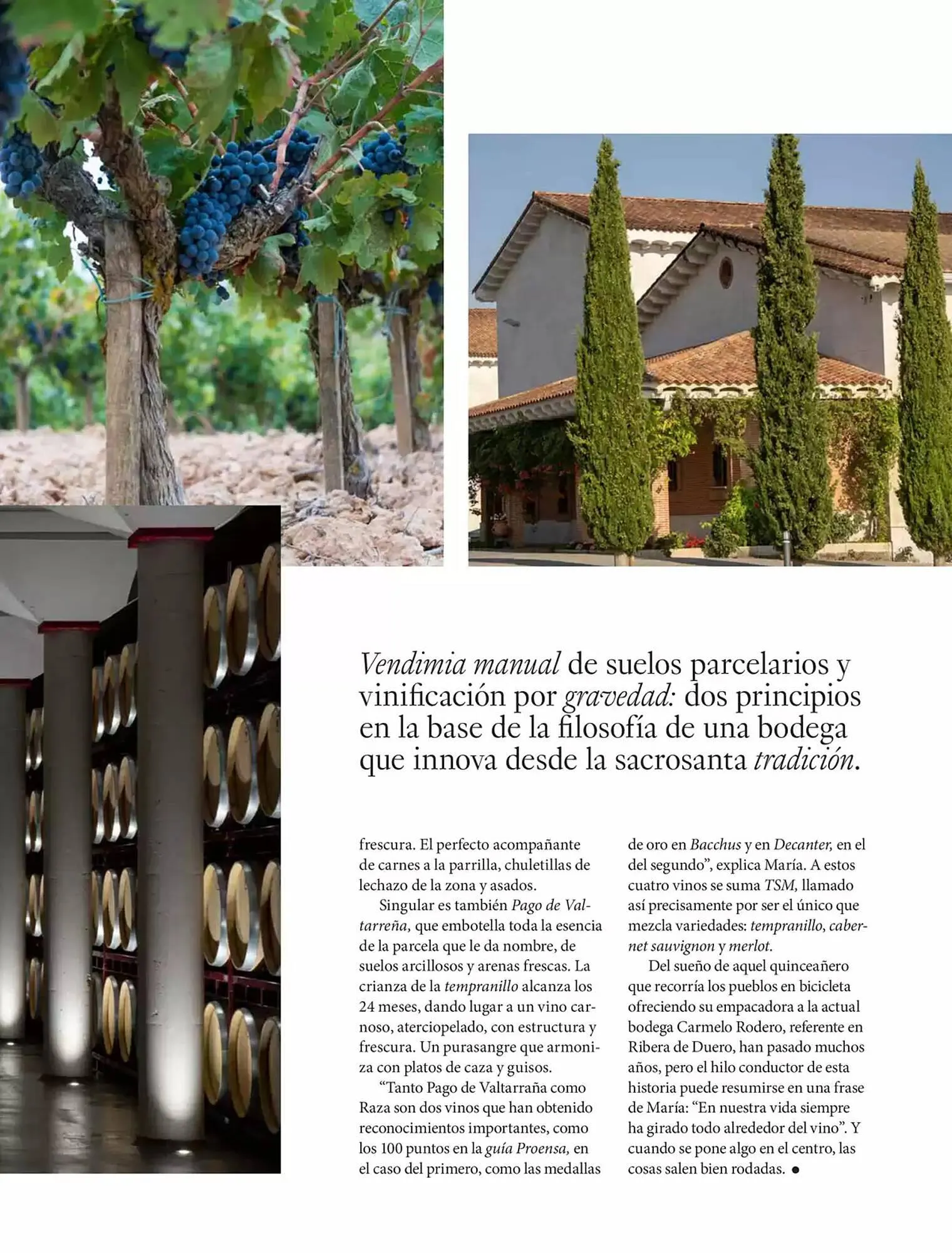 Catálogo de Folleto El Corte Inglés 1 de abril al 30 de junio 2025 - Página 63