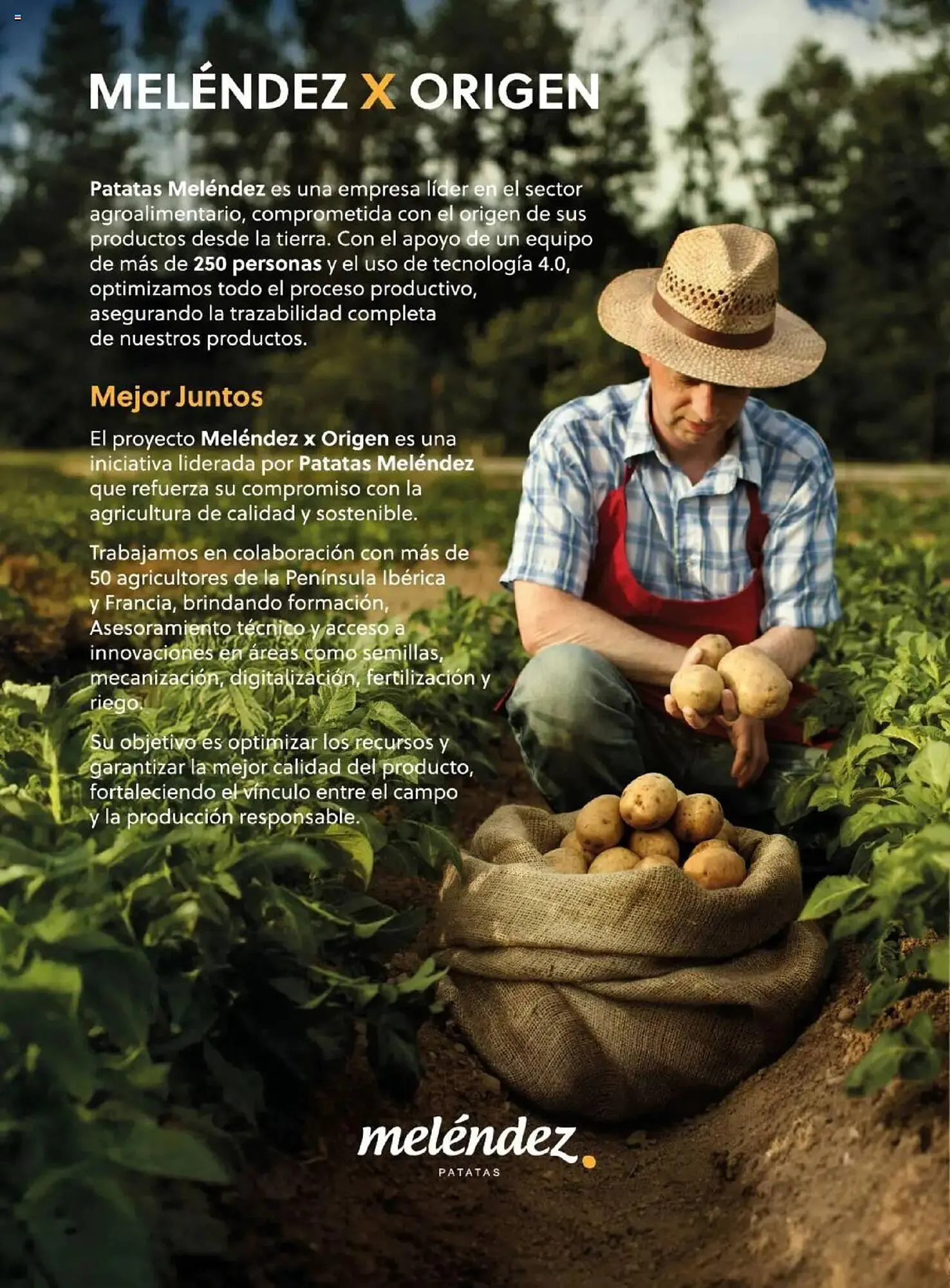 Catálogo de Folleto Costco 8 de abril al 31 de julio 2025 - Página 92