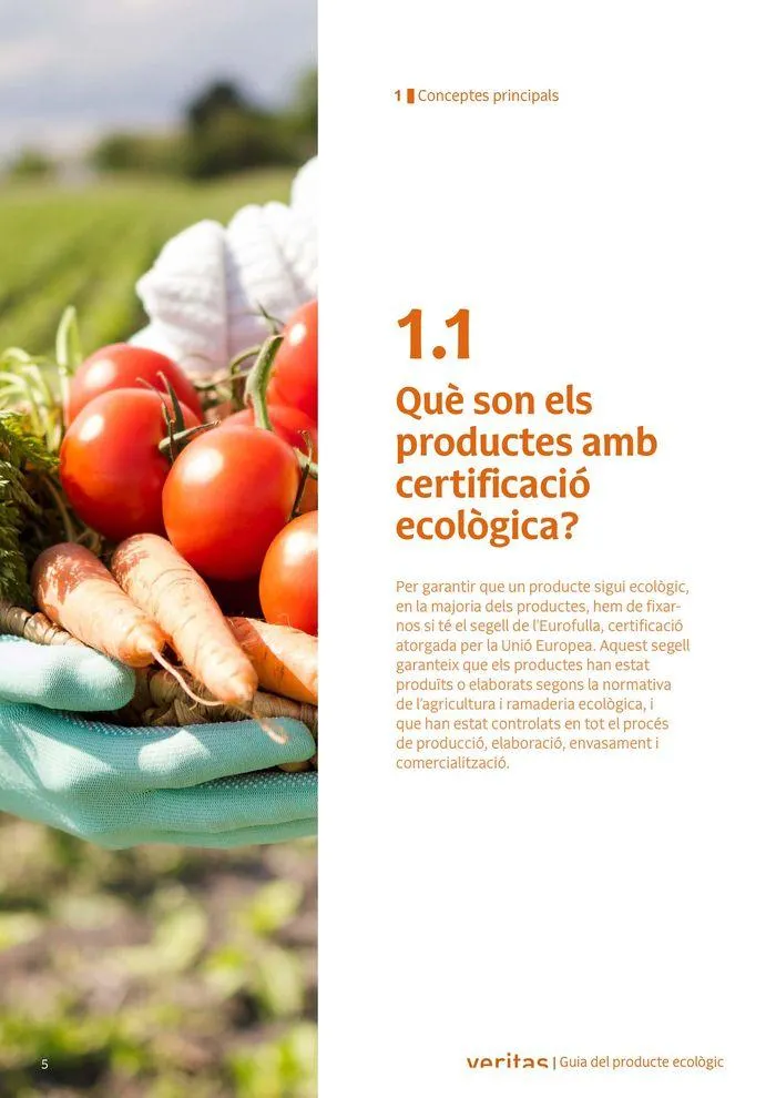 Catálogo de Veritas ABC productes ecològics 2 de septiembre al 31 de diciembre 2024 - Página 5