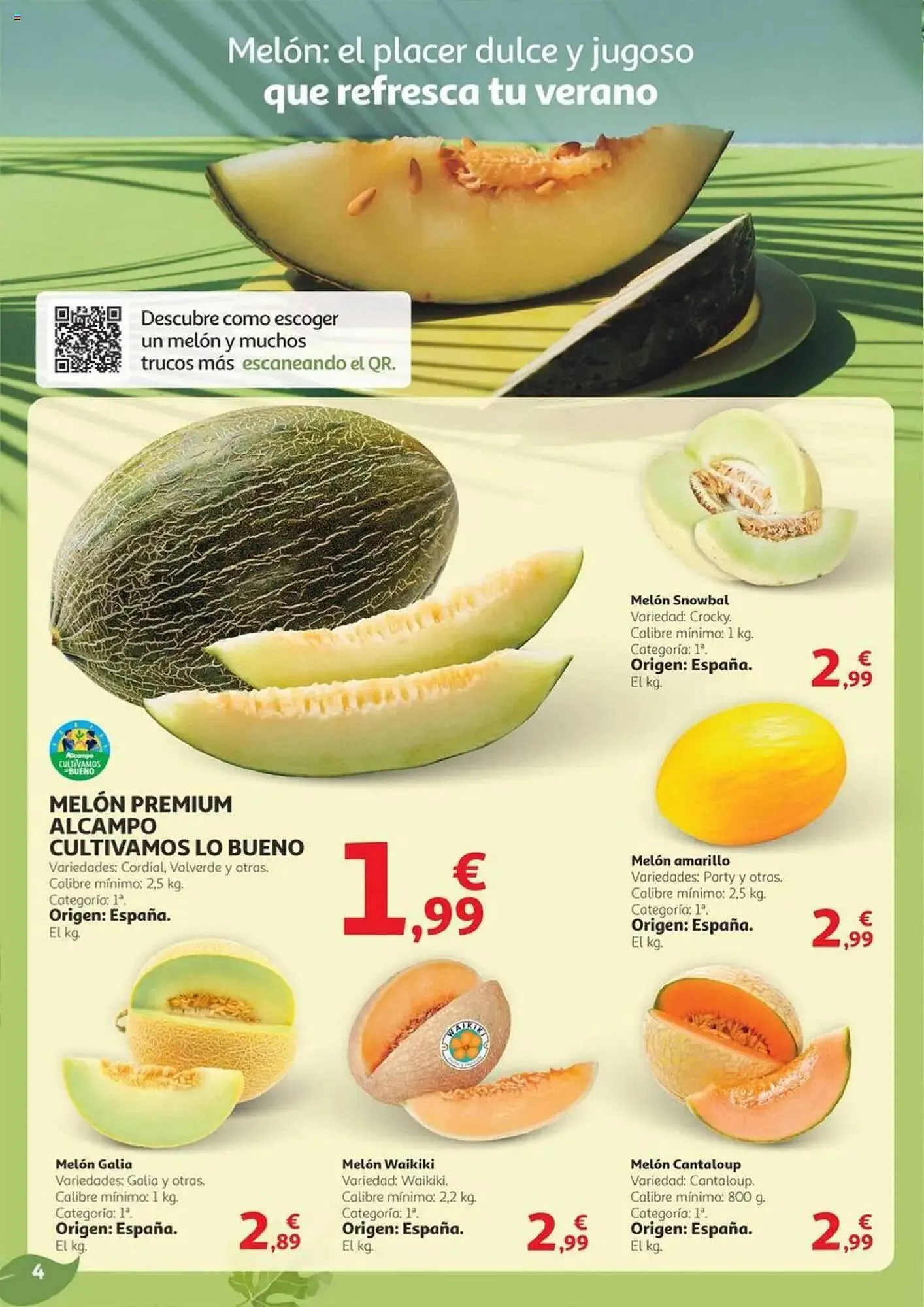 Catálogo de Folleto Alcampo 30 de julio al 13 de agosto 2025 - Página 4