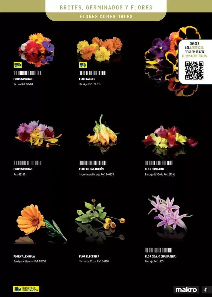 Catálogo de Frutas y verduras 8 de enero al 30 de junio 2025 - Página 41