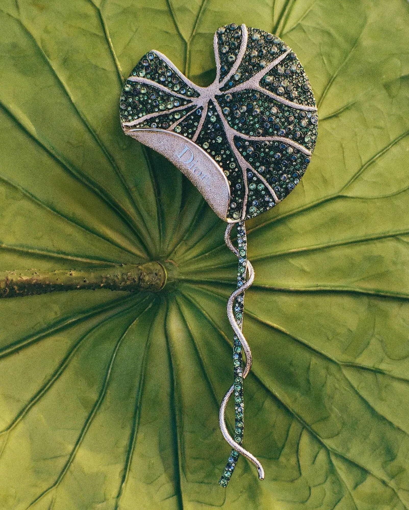 Catálogo de Folleto Dior 7 de marzo al 20 de marzo 2026 - Página 2