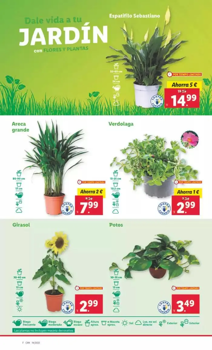 Catálogo de № 1 PRECIO - Ofertas válidas del 31/03 al 06/04 31 de marzo al 6 de abril 2025 - Página 32